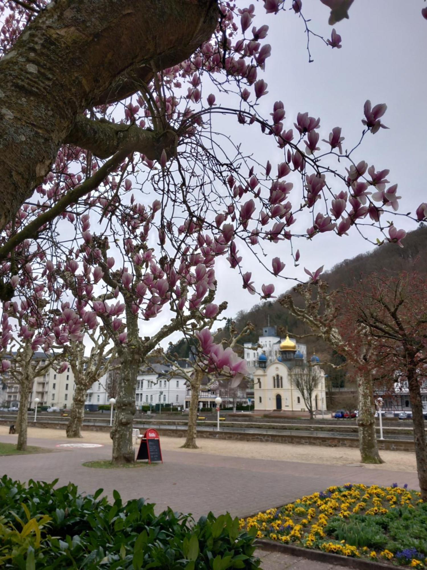 Ferienwohnung Im Roten Haus, Die Therme Ist Fusslaeufig In Wenigen Minuten Erreichbar Bad Ems Exterior foto